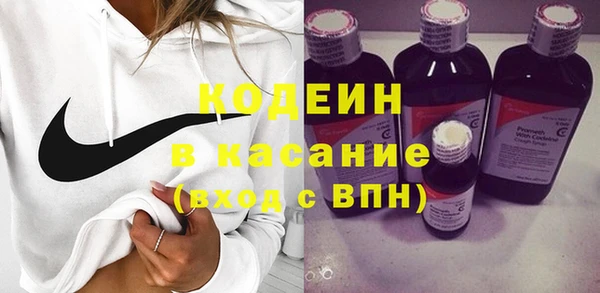 крисы Лагань