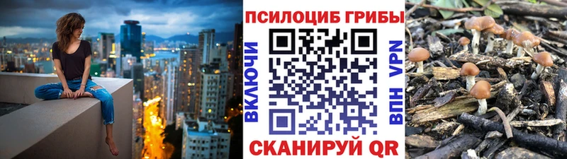 Галлюциногенные грибы ЛСД  дарнет шоп  Хабаровск 